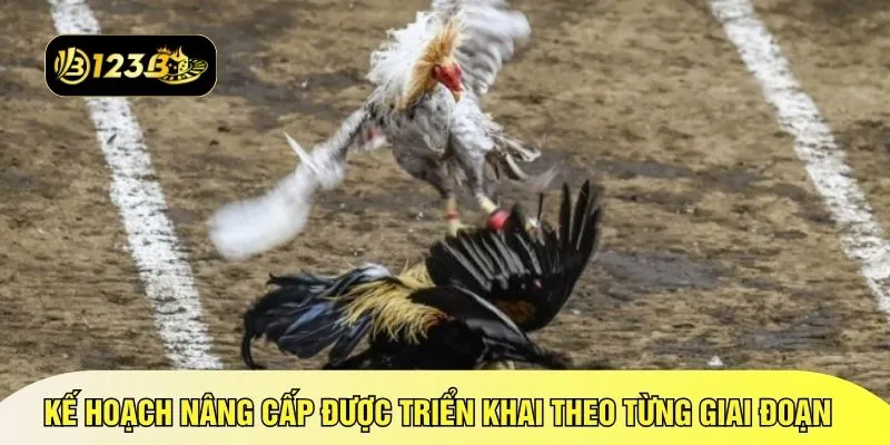 Kế hoạch nâng cấp được triển khai theo từng giai đoạn